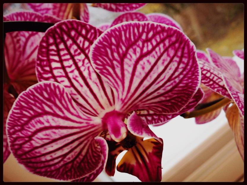 Processed with VSCOcam with m5 preset