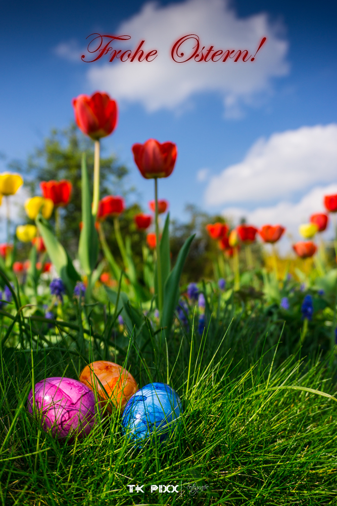 DSC00298_C_text_1000px